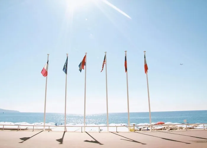 Charmant Studio Lumineux Promenade Des Anglais